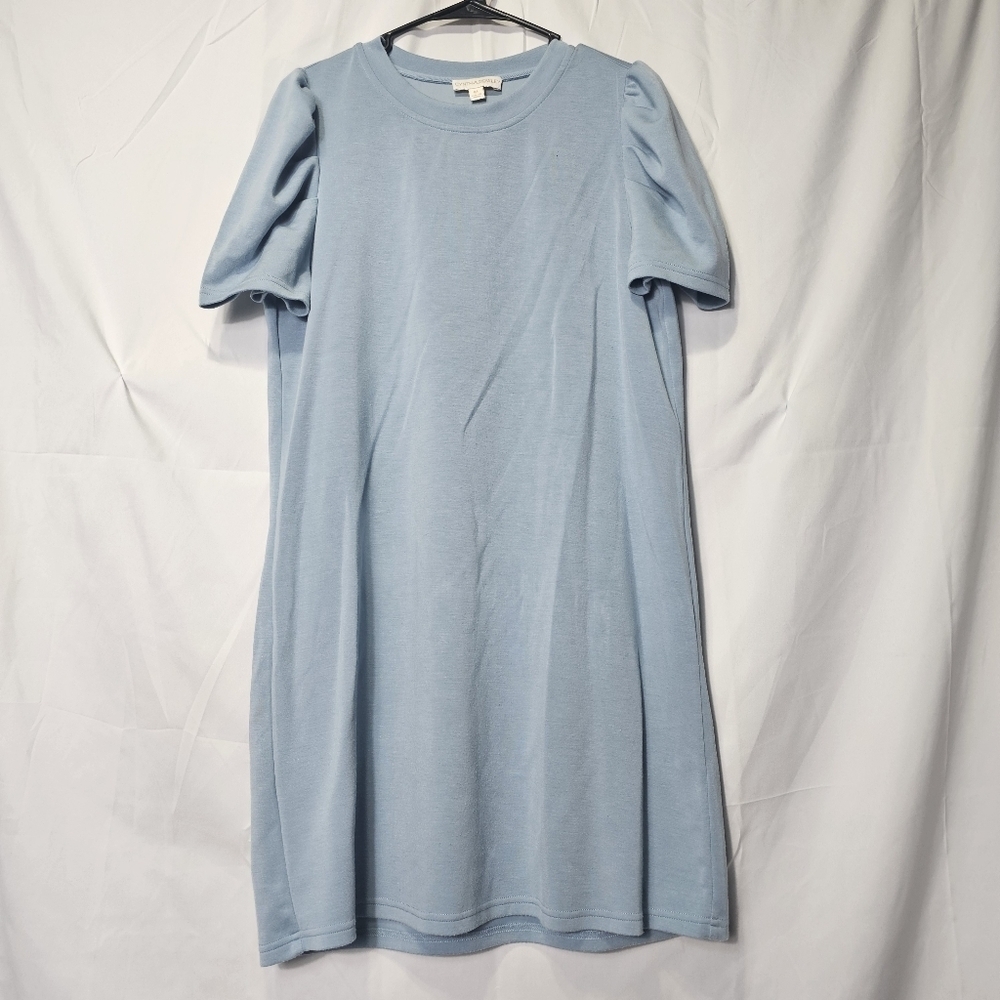Cynthia Rowley medium baby blue puffy shoulder dress